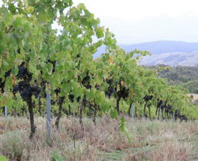 Michael Unwin Wines - Winery Find 3