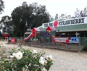 Cobram VIC Winery Find