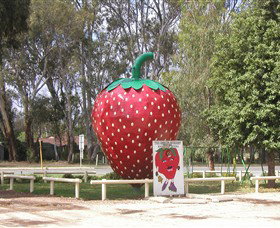 The Big Strawberry - Winery Find 1