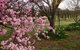 Bress Wine, Cider & Produce - thumb 2