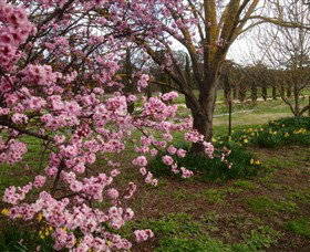 Bress Wine, Cider & Produce - Winery Find 2