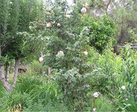 Eumungerie NSW Winery Find