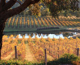 Sanguine Estate - Winery Find 2