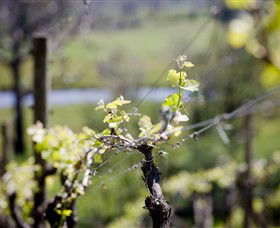 Guildford VIC Winery Find