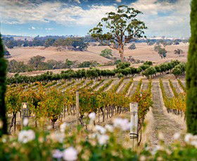 Baynton East VIC Winery Find