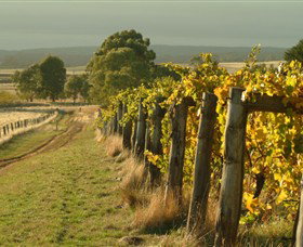 Campbelltown VIC Winery Find