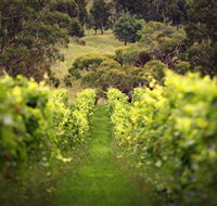 Merindoc Cafe and Cellar Door - Winery Find
