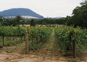 Mount Buninyong Winery - Winery Find 0