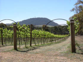 Mount Buninyong Winery - Winery Find 2