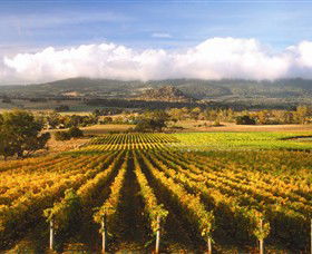 Hanging Rock Winery - Winery Find 3