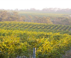 Fowles Wine - Winery Find 2