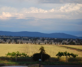Eurongilly NSW Winery Find