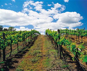 All Saints Estate - Winery Find 7