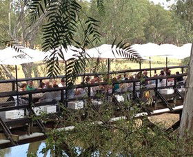 Pfeiffer Wines - Winery Find 4