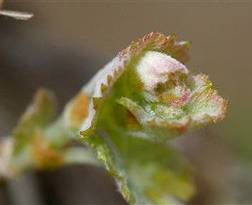 Rutherglen Estates - Winery Find 2