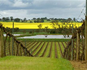 Rutherglen Estates - Winery Find 3