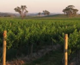 Euchareena NSW Winery Find
