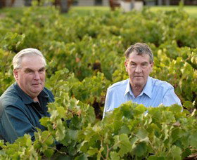 Campbells Wines - Winery Find 0