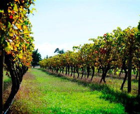 Warrandyte South VIC Winery Find
