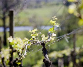 Galli Estate Winery - Winery Find 0