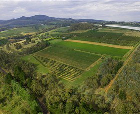 Borrodell Vineyard - Winery Find 1