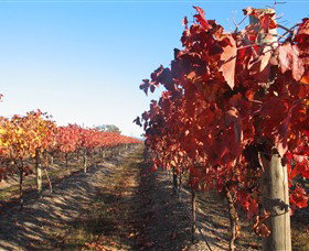 Moorngag VIC Winery Find