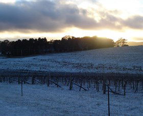 Eugowra NSW Winery Find