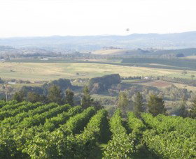 De Salis Wines - Winery Find 1