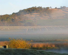 Moodys Wines - Winery Find 1