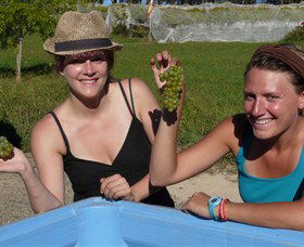 Moodys Wines - Winery Find 2