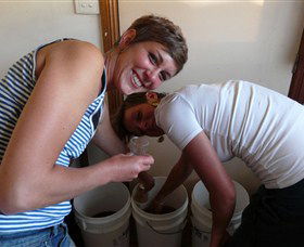 Moodys Wines - Winery Find 5