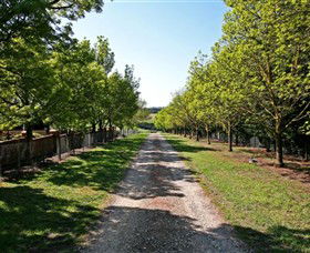 Mt Duneed VIC Winery Find