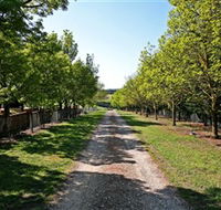 Waybourne Winery - Winery Find