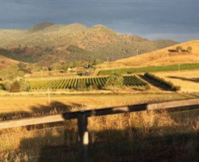 Optimiste Wines - Winery Find 0