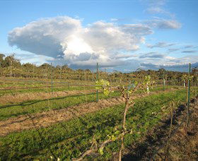 Flyfaire Wines - Winery Find 6