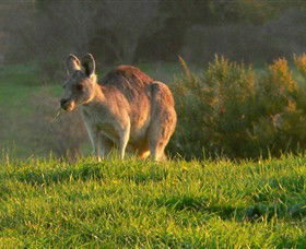 Samson Hill Winery & Restaurant - Winery Find 1