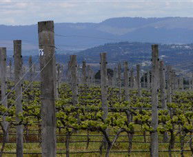 Samson Hill Winery & Restaurant - Winery Find 2