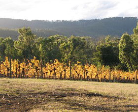 Mcmahons Creek VIC Winery Find