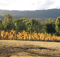 Steels Creek Estate - Winery Find