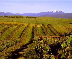 Delatite Wines - Winery Find 3