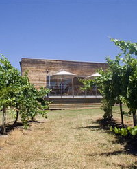 Shantell Vineyard