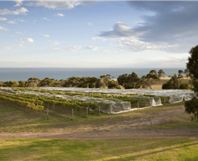 Terindah Estate - Winery Find 1
