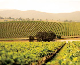 De Bortoli Yarra Valley Estate - Winery Find 7