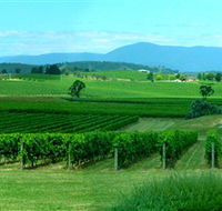 Acacia Ridge Vineyard - Winery Find
