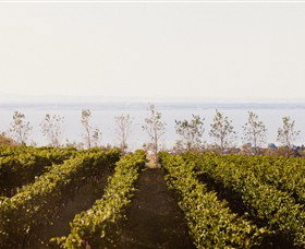 Scotchmans Hill - Winery Find 4