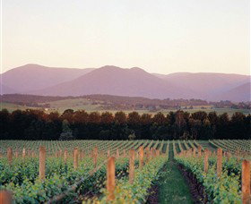 Domaine Chandon - Winery Find 0
