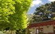 St Huberts Vineyard - thumb 2