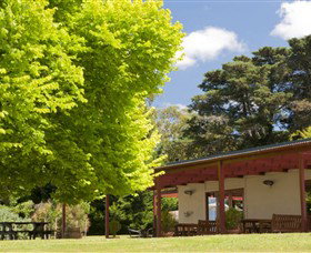 St Huberts Vineyard - Winery Find 2