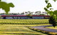 Oakridge Wines - thumb 1