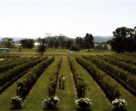 Marysville VIC Winery Find